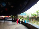 PC270300~01