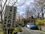 IMG_20190405_144729-1024x768