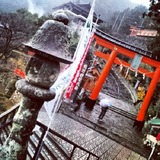IMG_20121230_142548