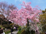 IMG_20190412_130211-1024x768