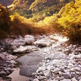 IMG_20131108_131950~01