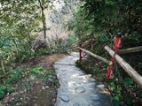 IMG_20190213_115117-1024x768