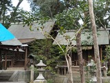 P1250016~01