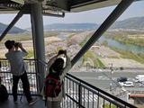 IMG_20190406_100714-1024x768