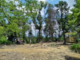 IMG_20190707_115923-1024x768