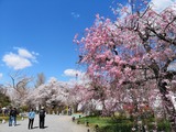 IMG_20190409_103906-1024x768