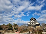 20250214_090645_copy_1600x1200