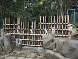 P1250021~01