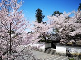 IMG_20190409_121536-1024x768