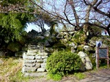 090411 021