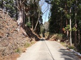 IMG_20190402_111239-1024x768