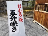 IMG_20190412_151124-1024x768