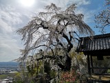 IMG_20190405_145942-1024x768