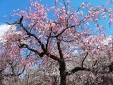 IMG_20190409_103852-1024x768