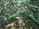 IMG_20190726_122724-1024x768