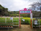IMG_20191010_160023-1024x768