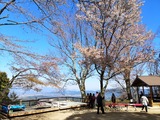 IMG_20190416_094112-1024x768