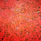 IMG_20131125_162715~01