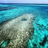 IMG_20130309_121526