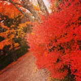 IMG_20131125_162358~01