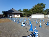 PB060047~01