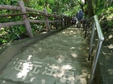 IMG_20190511_113016-1024x768