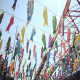 IMG_20130428_104615