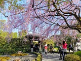 IMG_20190409_154037-1024x768
