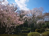 IMG_20190404_094546-1024x768