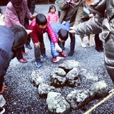IMG_20121231_221125