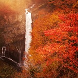 IMG_20131109_203218~01