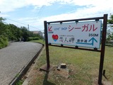 P7030009~01
