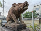 IMG_20190204_151214-800x600