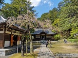 IMG_20190415_135321-1024x768
