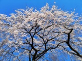 IMG_20190404_094832-1024x768