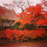 IMG_20131125_162638~01