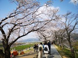 IMG_20190406_093248-1024x768