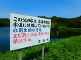 P8040028~01