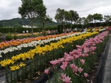 IMG_20190706_123218-1024x768