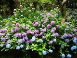 IMG_20190706_152722-1024x768