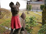 IMG_20190208_111518-800x600