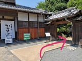 IMG_20190511_174246-1024x768