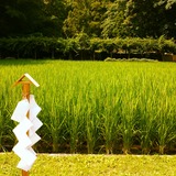 IMG_20130713_110340