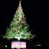 IMG_20131210_205228~01