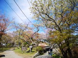 IMG_20190416_101301-1024x768