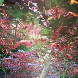 IMG_20130601_135405