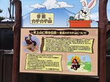 IMG_20220519_105939_copy_1824x1368