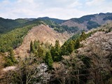 IMG_20190402_125050-1024x768