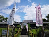 IMG_20190707_152431-1024x768