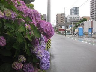 day_dai20160613-2